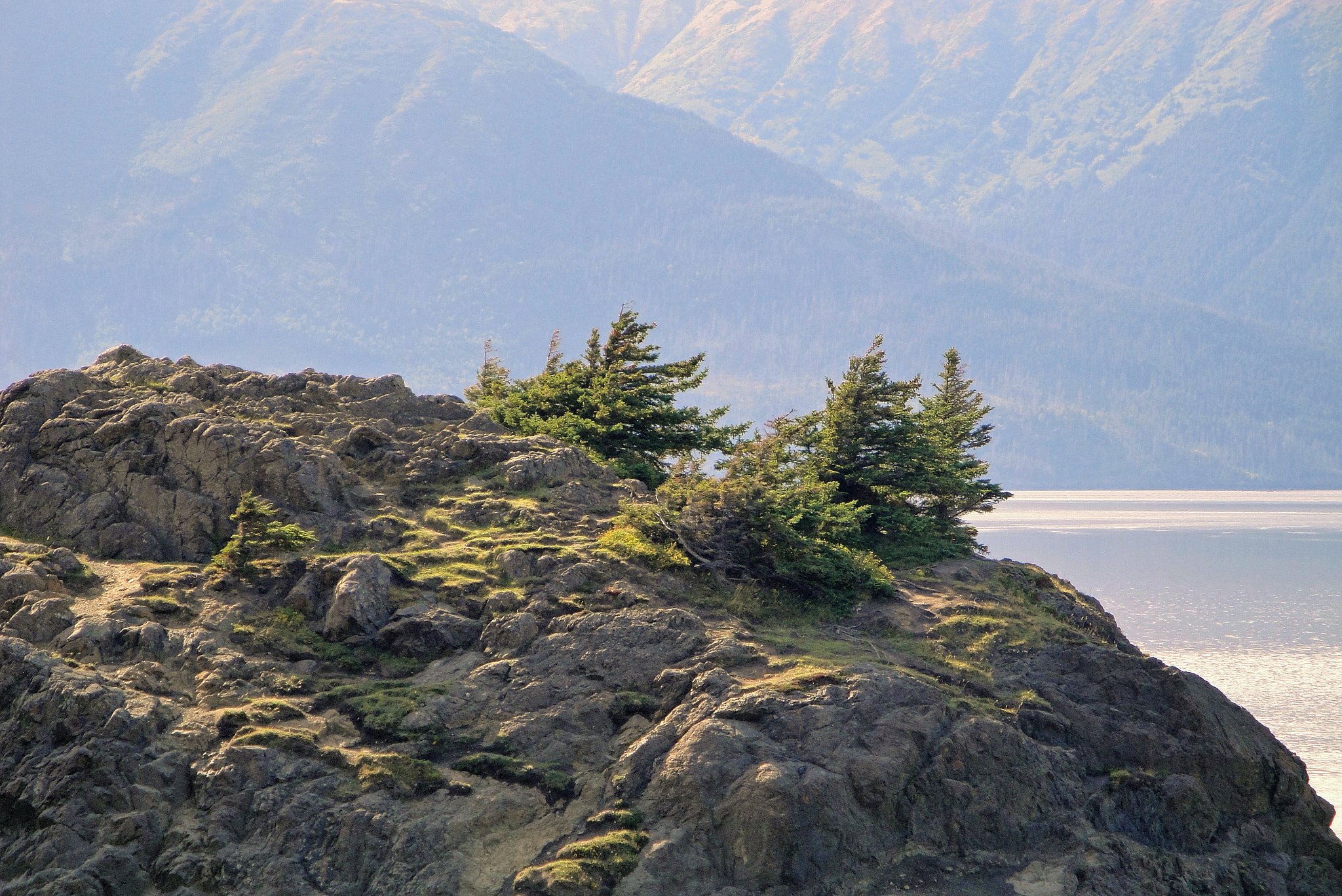 Sony Cyber-shot DSC-W290 sample photo. Turnagain arm study 1 photography