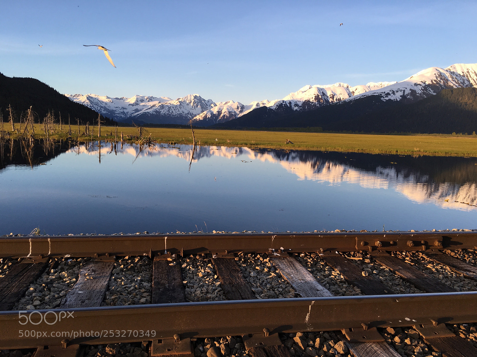 Apple iPhone 6s Plus sample photo. Tranquil alaska pond photography