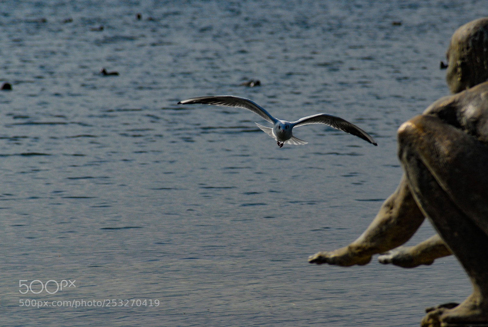 Nikon D200 sample photo. Hey! slow down bro! photography