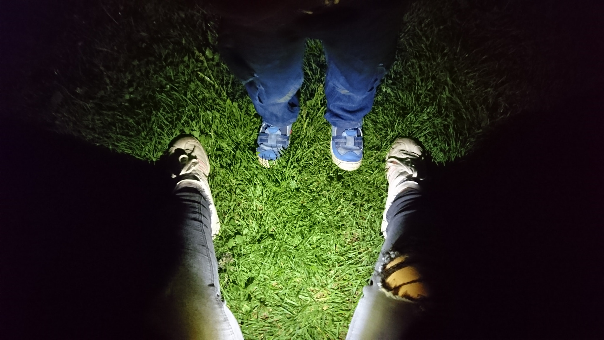 Sony Xperia Z5 sample photo. Untitled photography