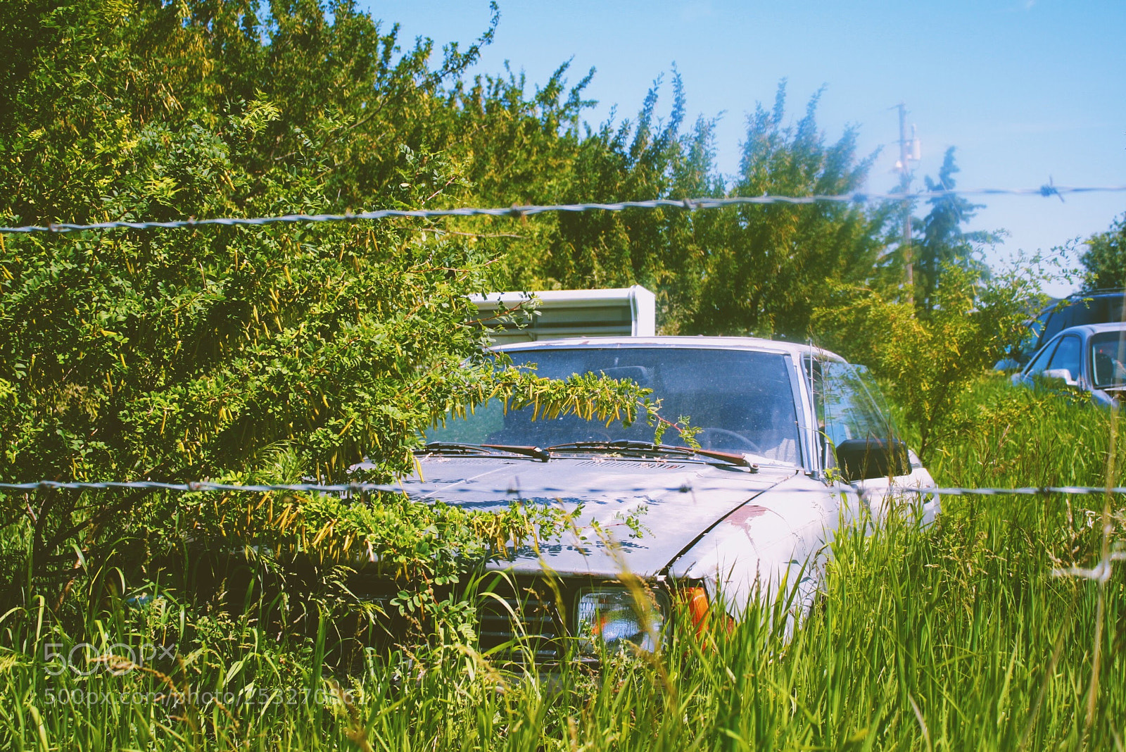 Canon EOS 1000D (EOS Digital Rebel XS / EOS Kiss F) sample photo. A lost car photography