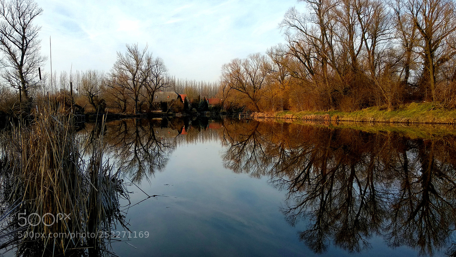 Xiaomi Mi A1 sample photo. Peaceful morning photography