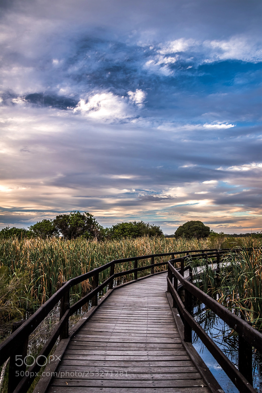 Canon EOS 750D (EOS Rebel T6i / EOS Kiss X8i) sample photo. On the boardwalk photography