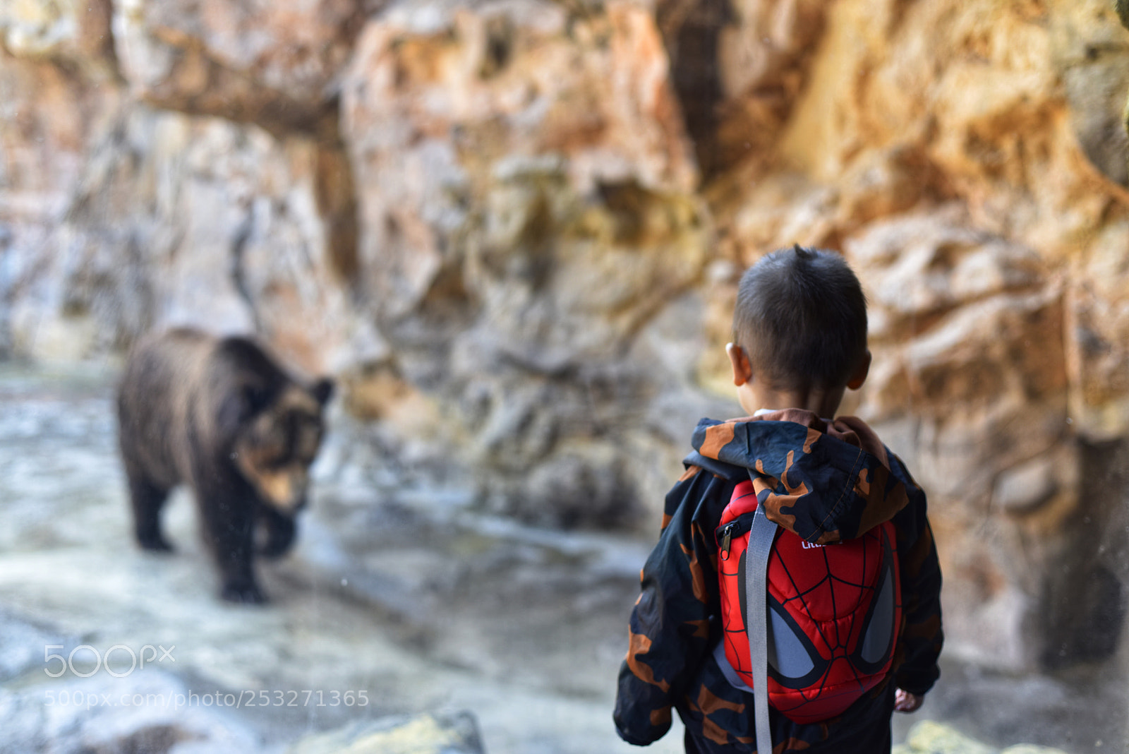 Nikon D810 sample photo. Untitled photography