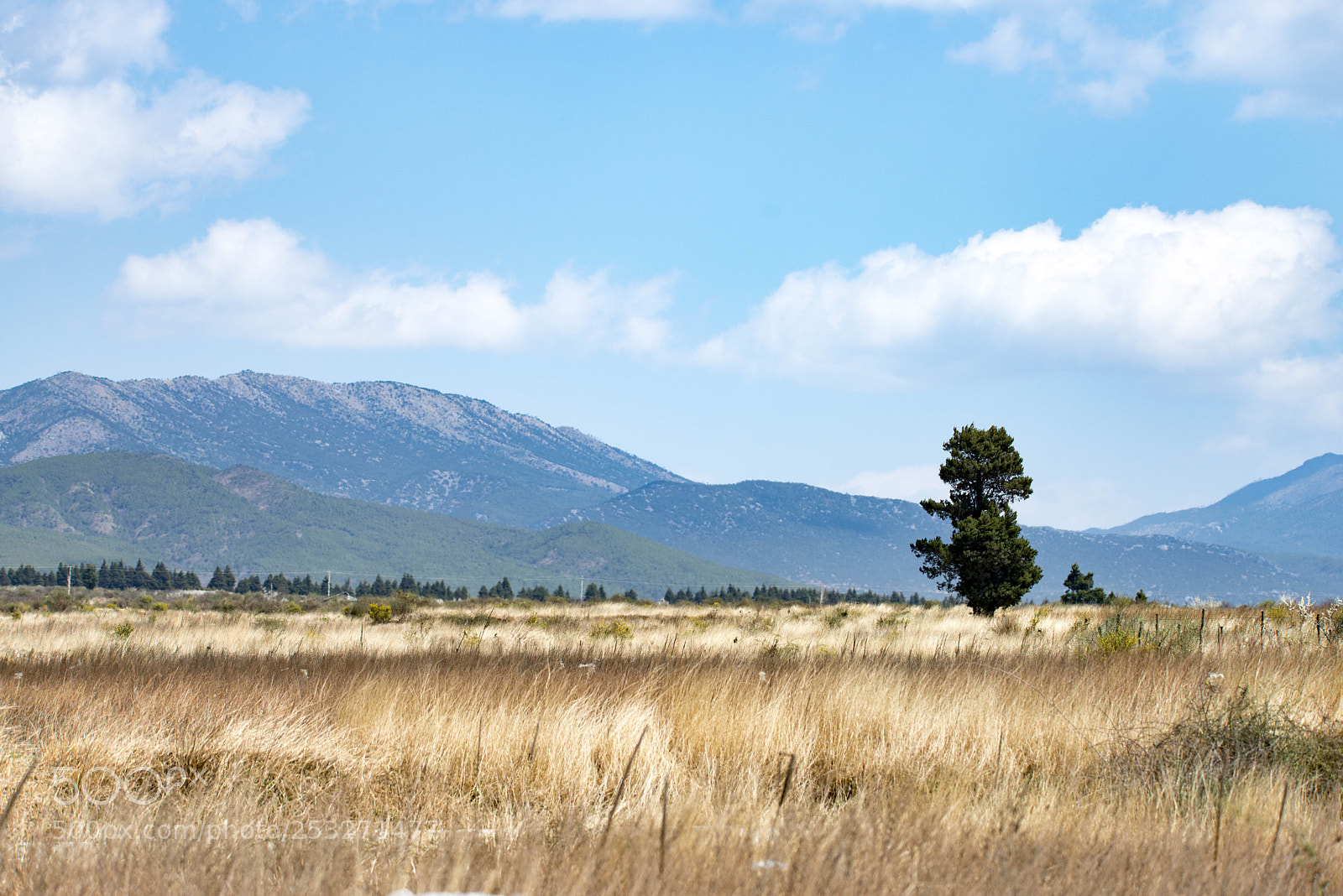 Nikon D800 sample photo. Wilderness photography
