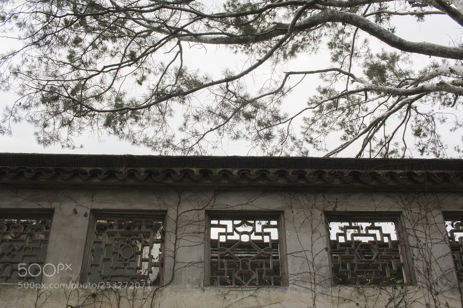 Canon EOS 70D sample photo. Untitled photography