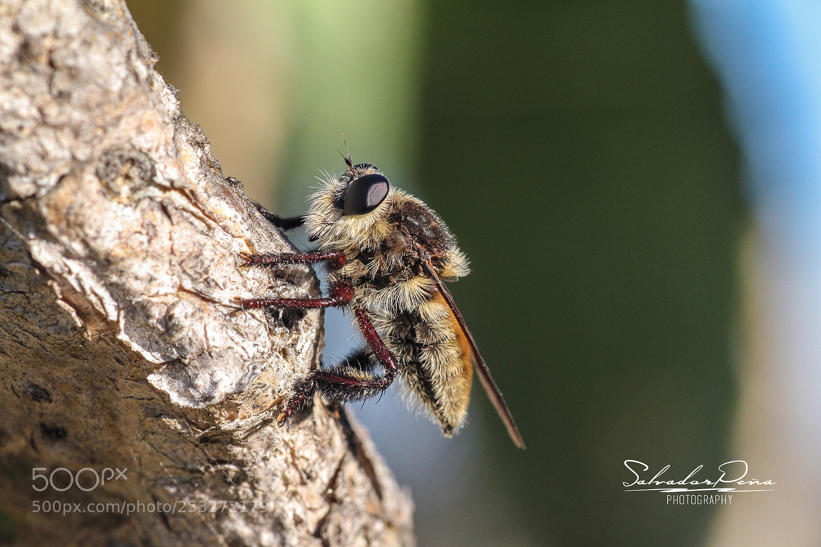 Canon EOS 7D sample photo. Resting photography