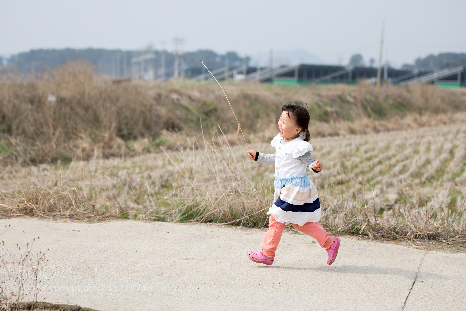 Canon EOS 5D Mark IV sample photo. 해맑음 photography