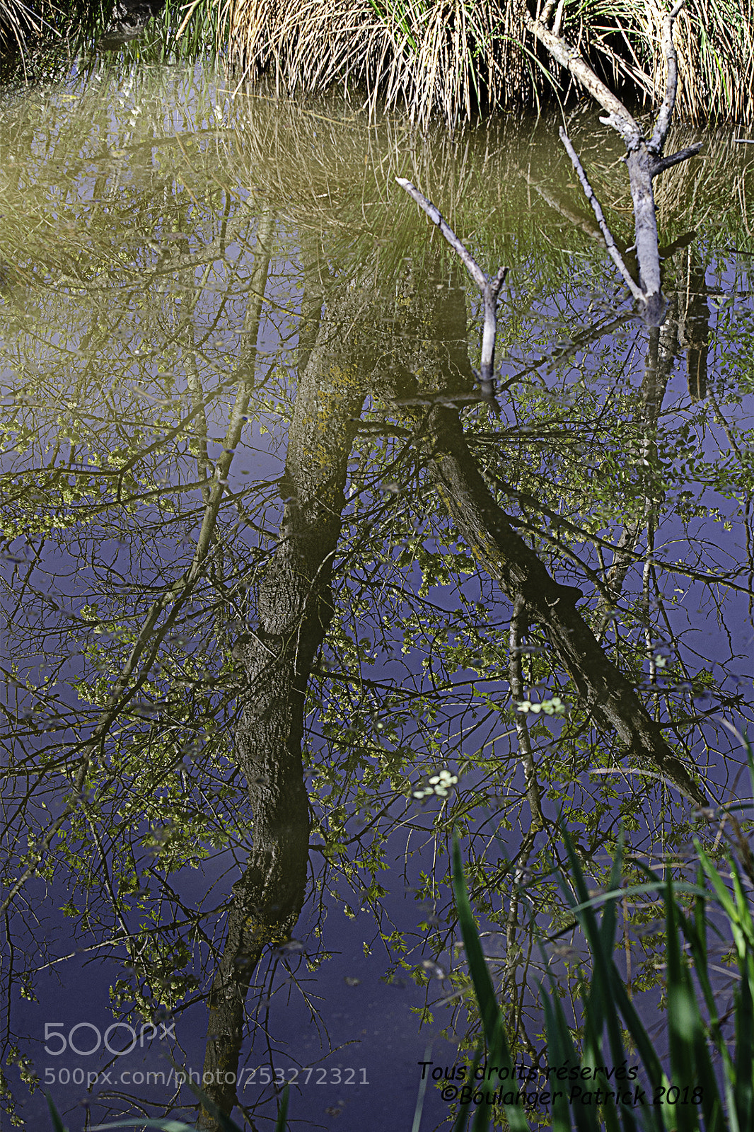 Nikon D7000 sample photo. Reflets photography