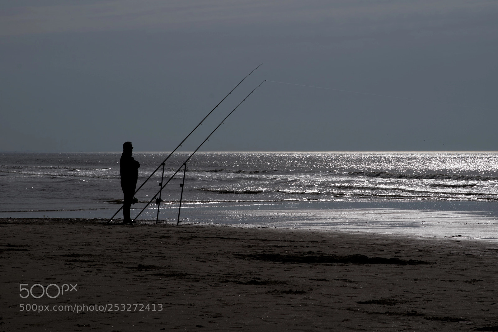 Nikon D5300 sample photo. Fish for dinner? photography