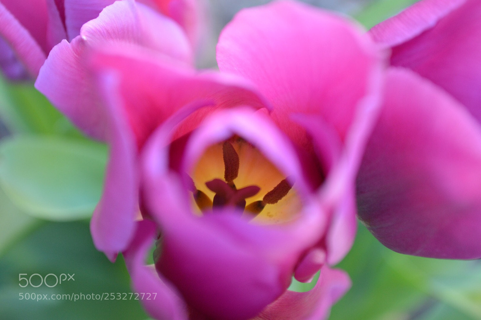 Nikon D3200 sample photo. Within photography