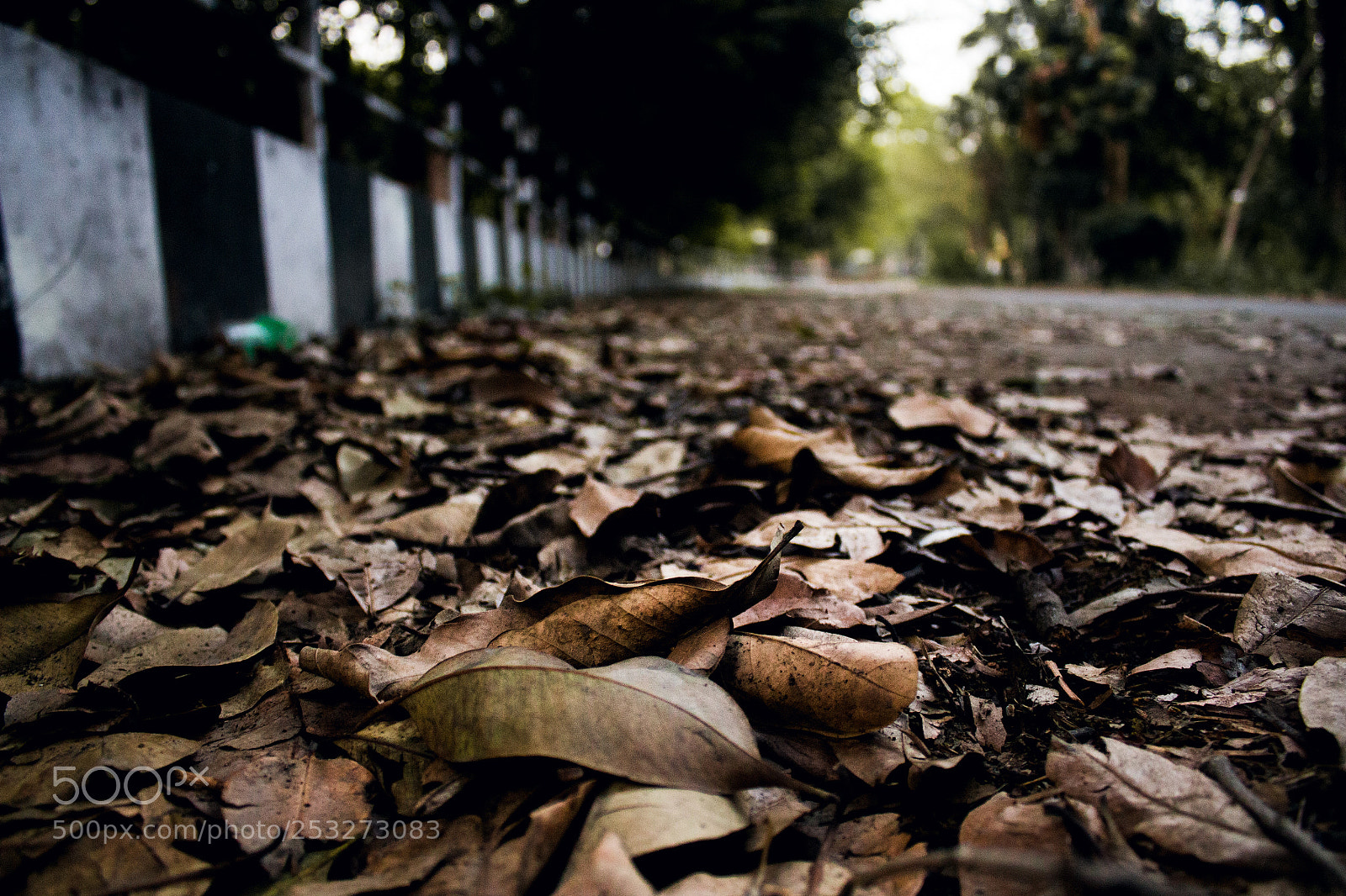 Canon EOS 700D (EOS Rebel T5i / EOS Kiss X7i) sample photo. Seasons photography