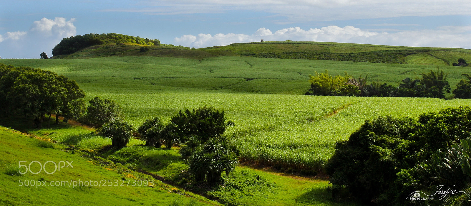 Canon EOS 100D (EOS Rebel SL1 / EOS Kiss X7) sample photo. Rolling fields photography