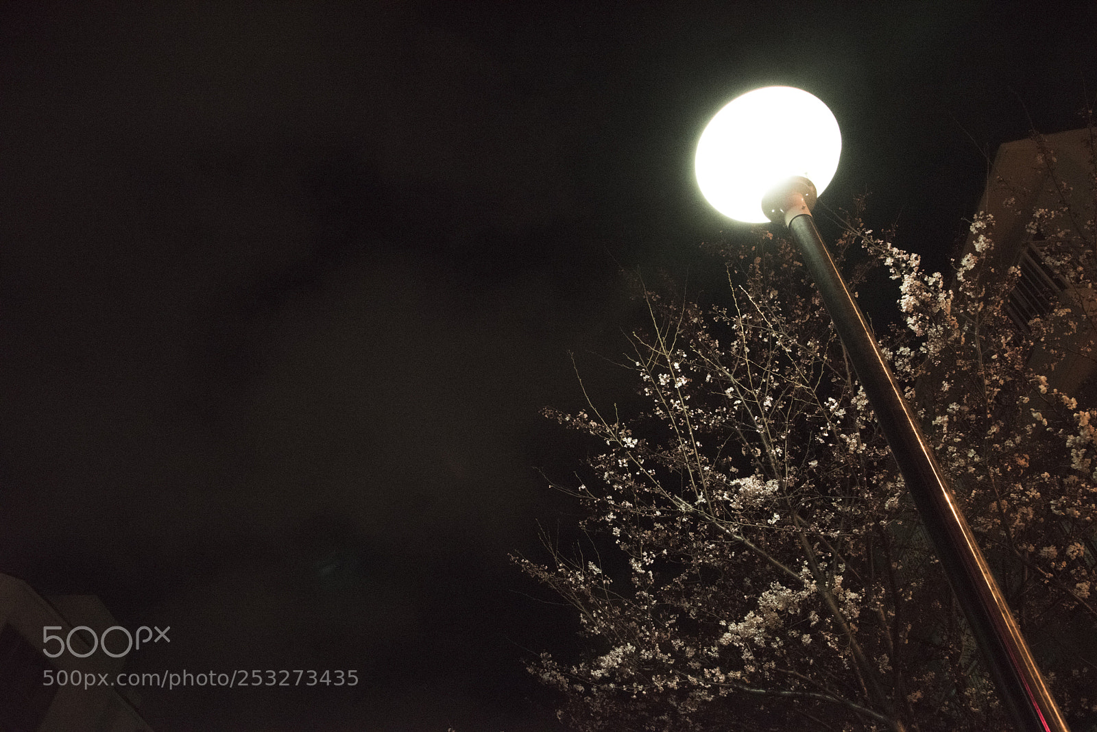 Nikon D810 sample photo. In a town 6 photography