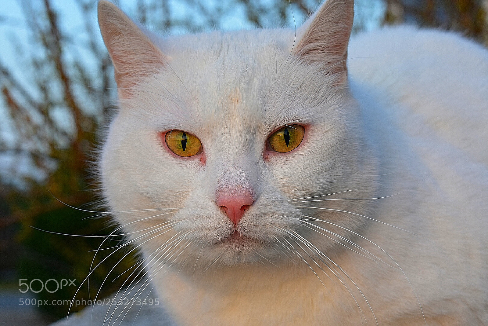 Nikon D3400 sample photo. Untitled photography