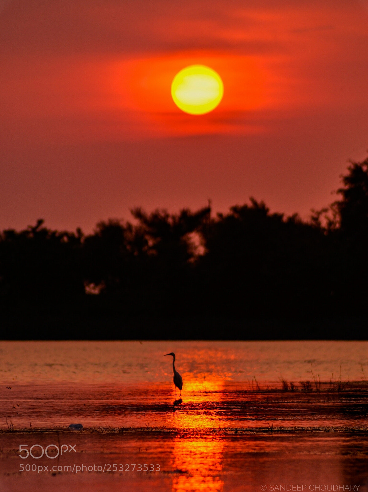 Nikon D7000 sample photo. Untitled photography
