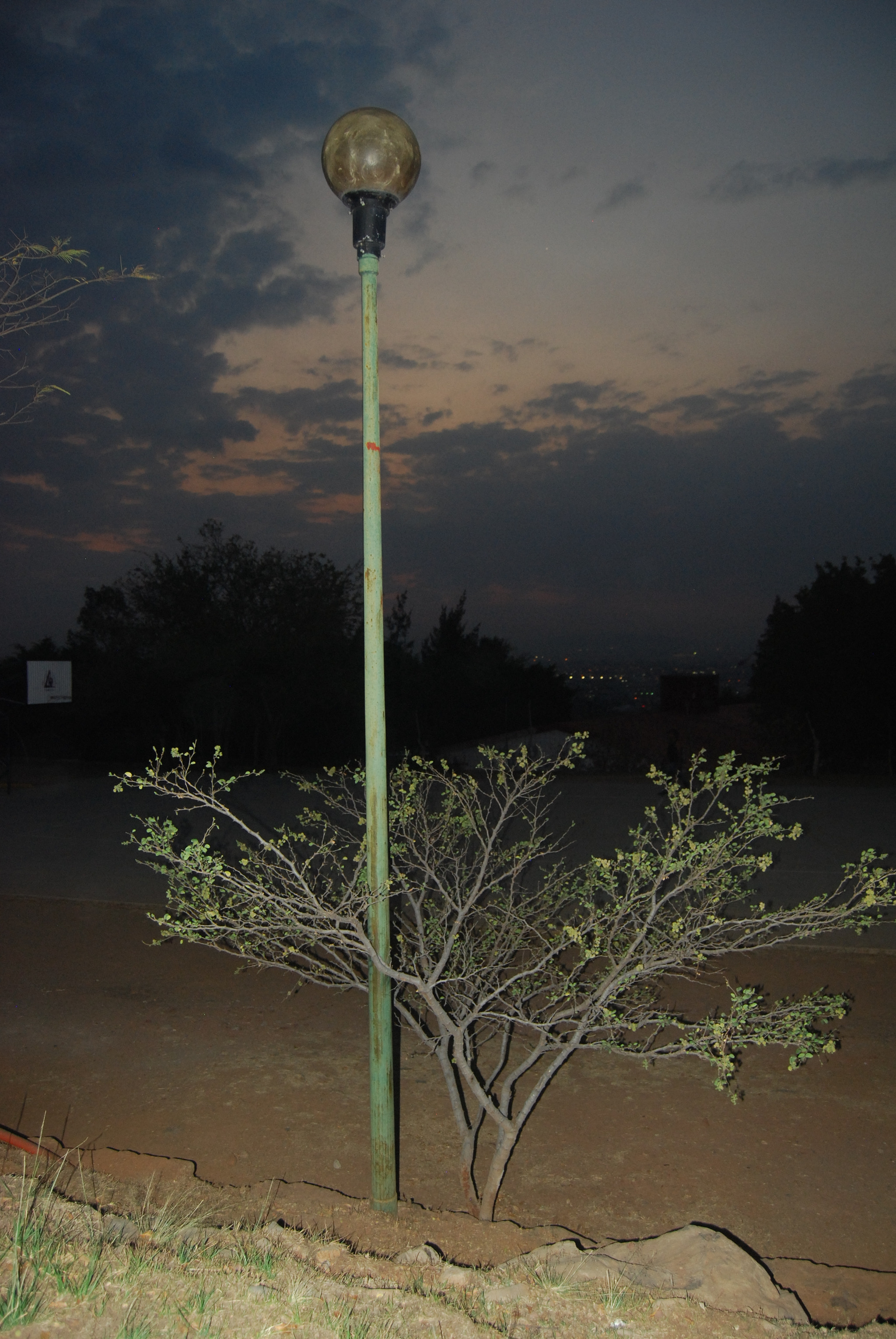 Nikon D40X sample photo. Moon photography