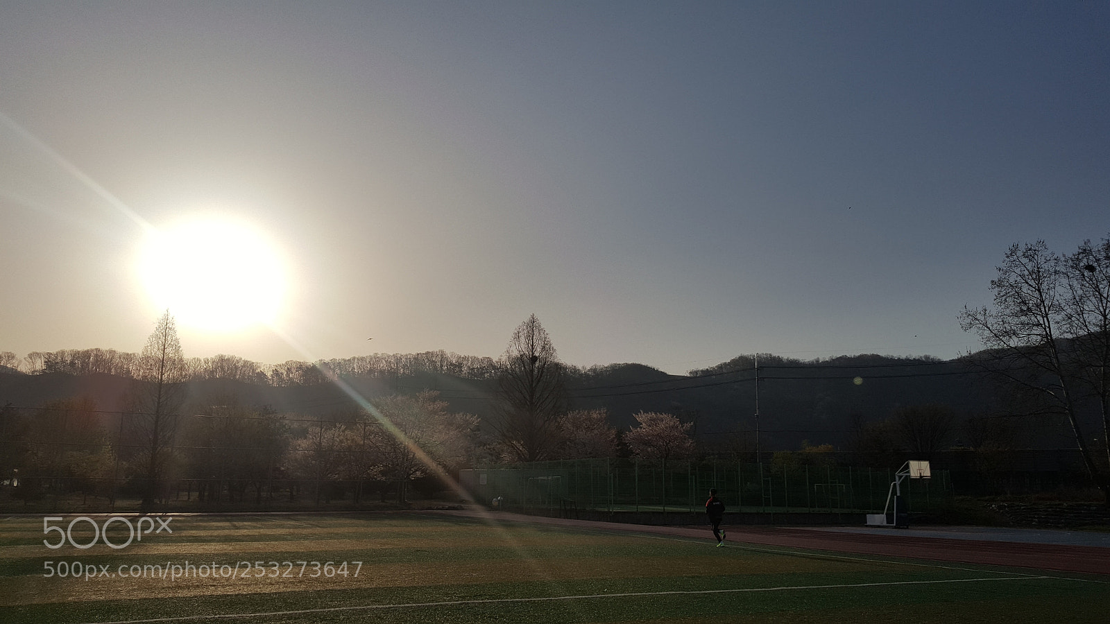 Samsung Galaxy Note5 sample photo. Untitled photography