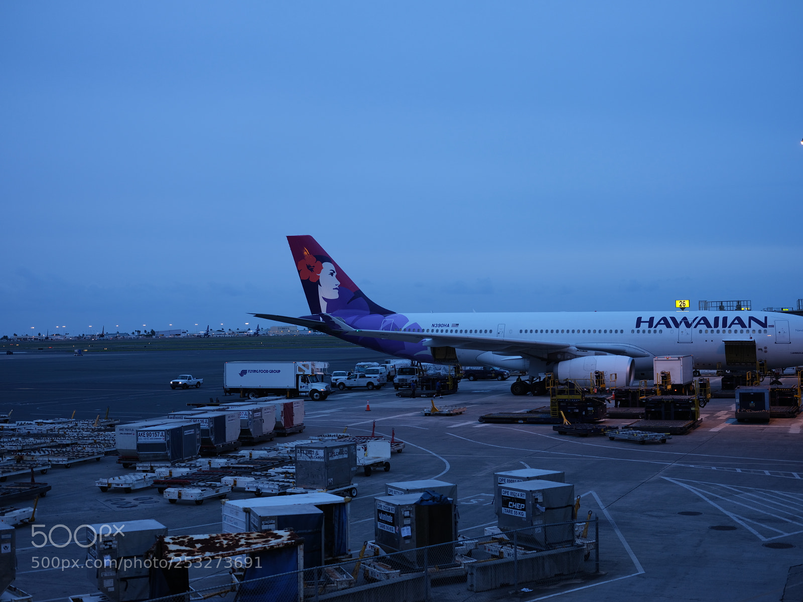 Fujifilm GFX 50S sample photo. Hawaii airport photography