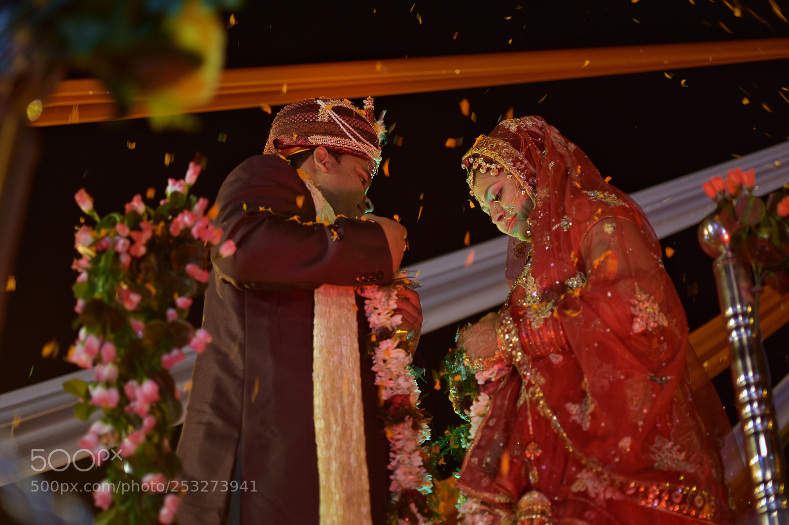 Nikon D5600 sample photo. Way of life photography