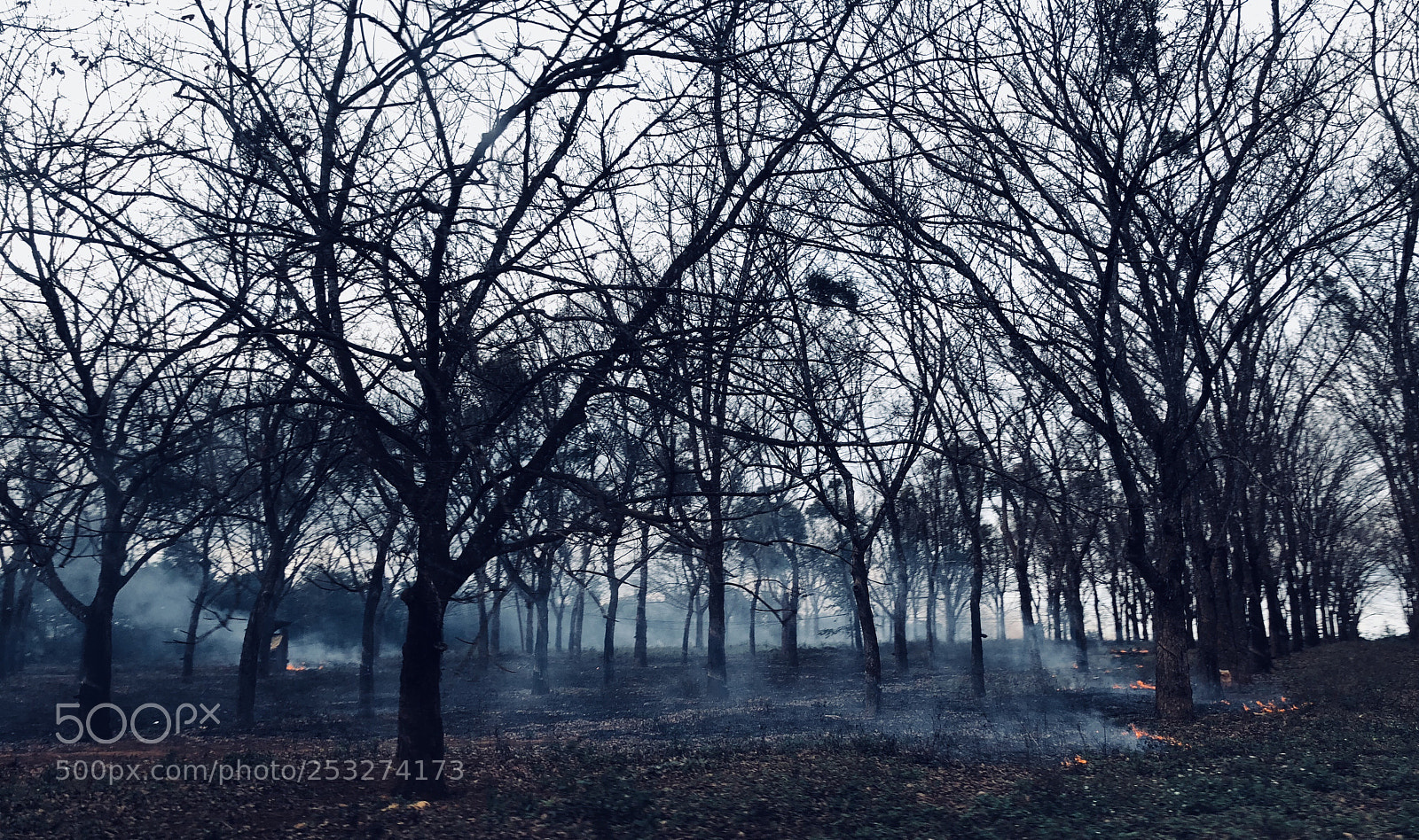 Apple iPhone X sample photo. Untitled photography