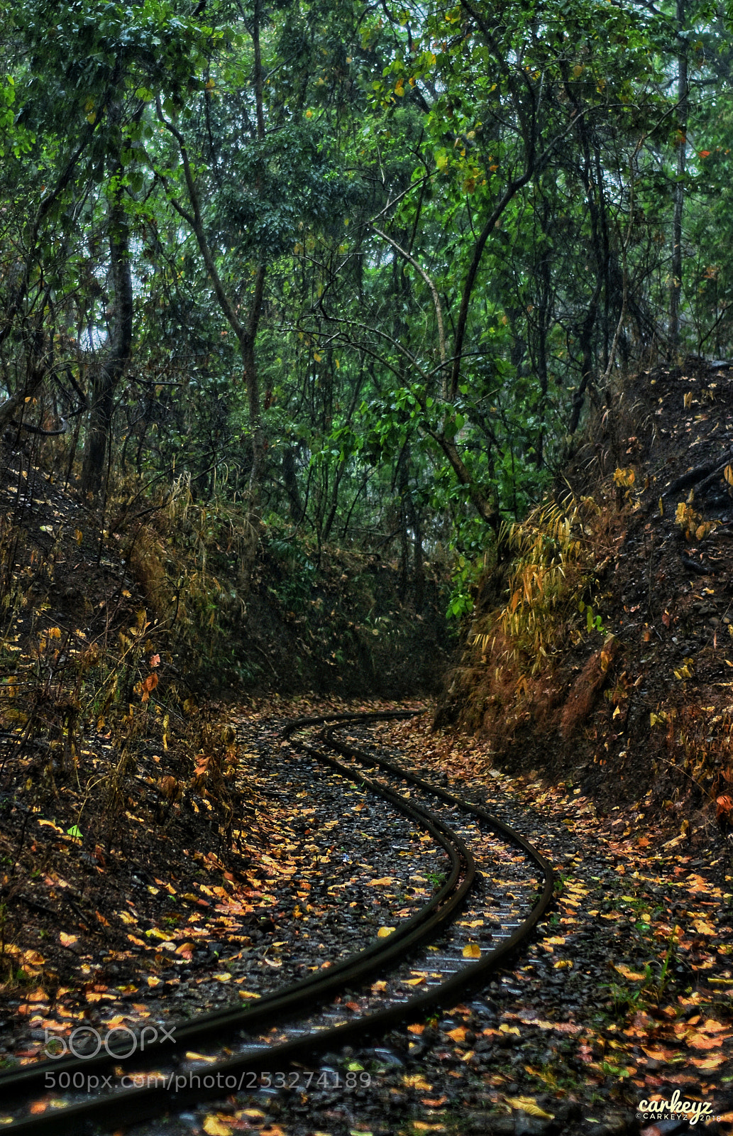 Nikon D7200 sample photo. Untitled photography