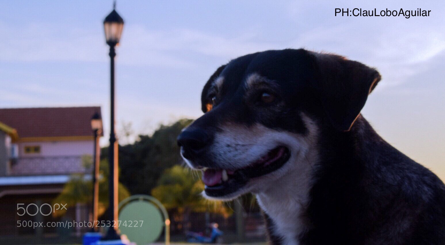 Nikon D5300 sample photo. Street photography