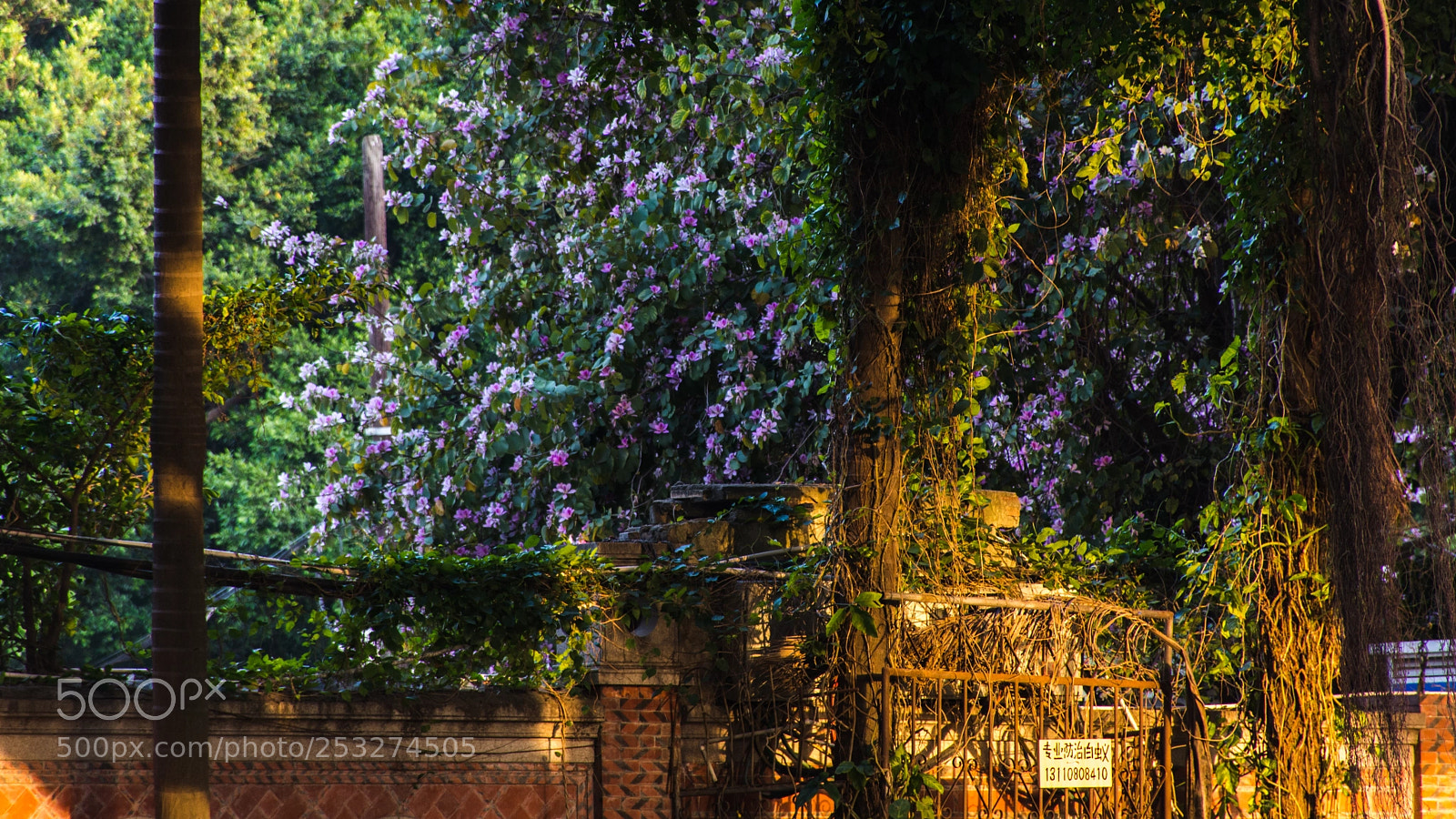 Nikon D7100 sample photo. Untitled photography