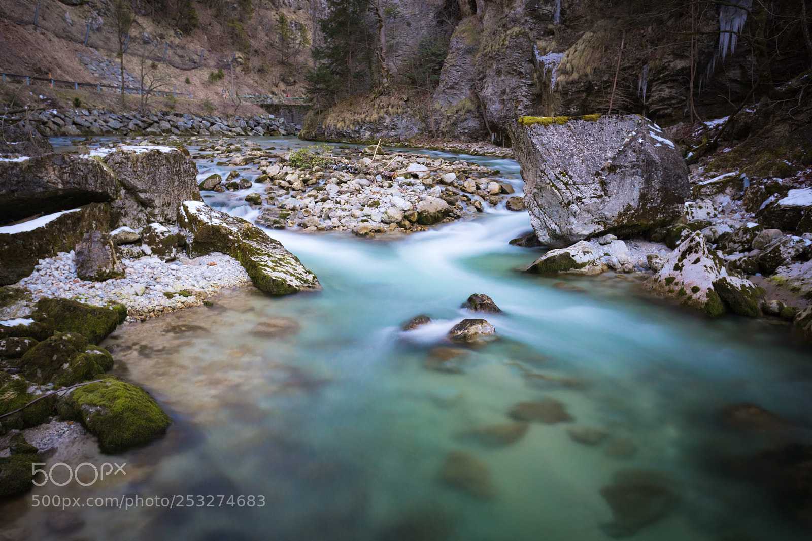 Canon EOS 5D Mark IV sample photo. Wild world photography