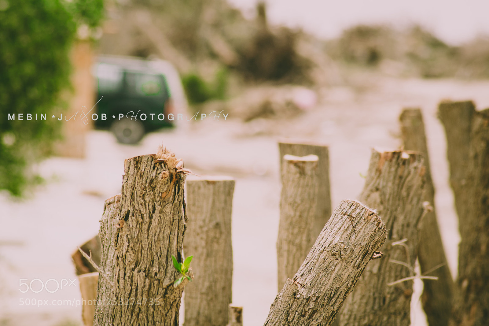 Nikon D5300 sample photo. Logging photography