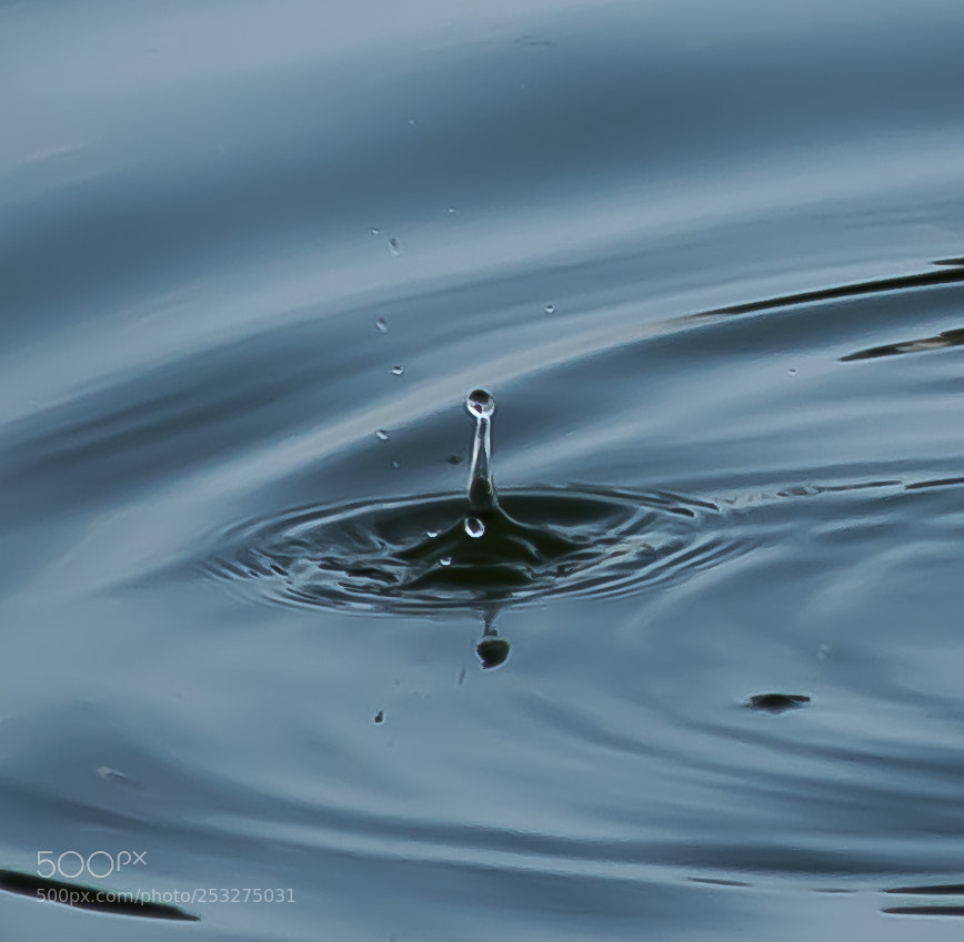Nikon D3300 sample photo. Water drop photography