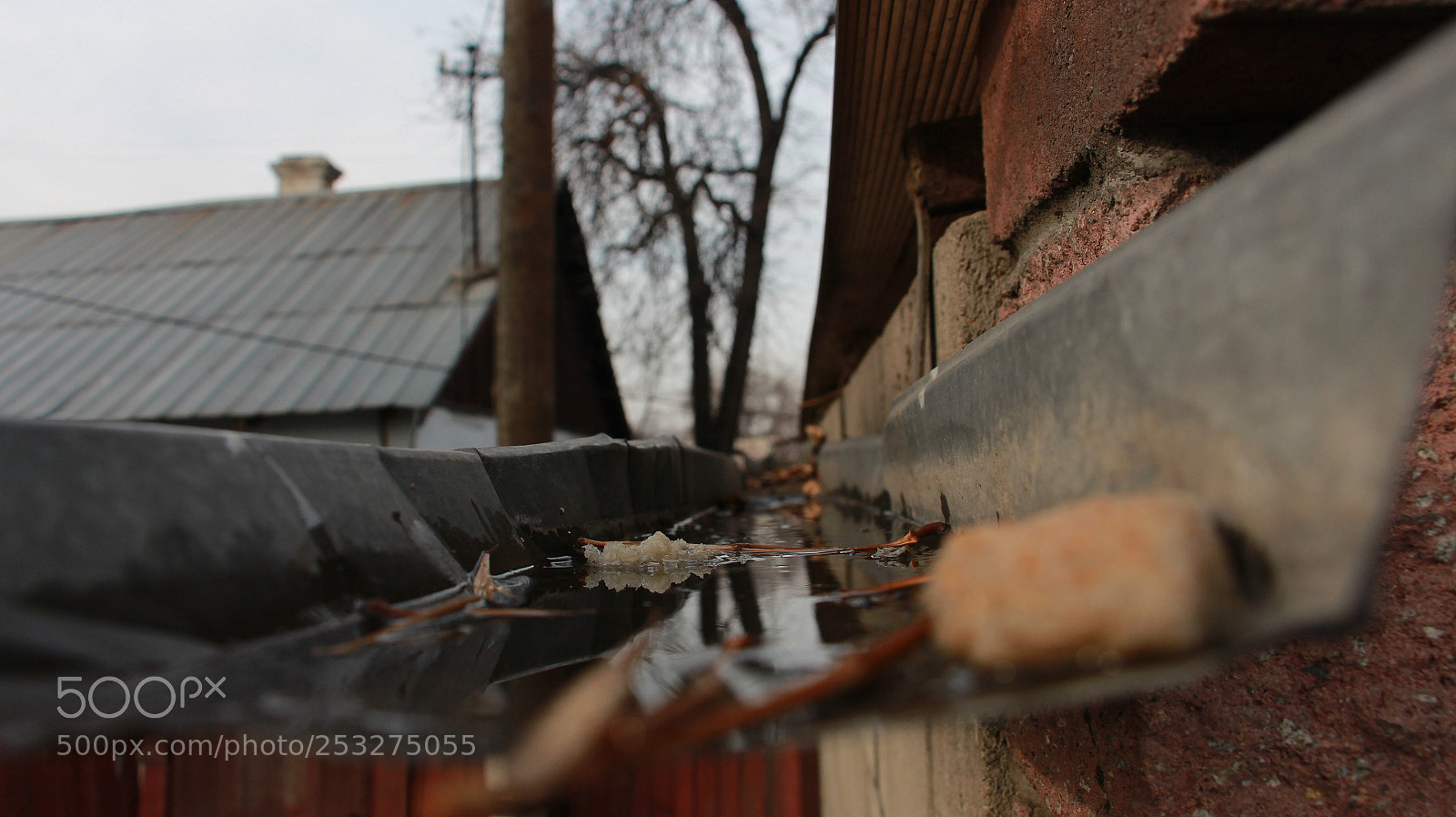 Canon EOS 700D (EOS Rebel T5i / EOS Kiss X7i) sample photo. Untitled photography