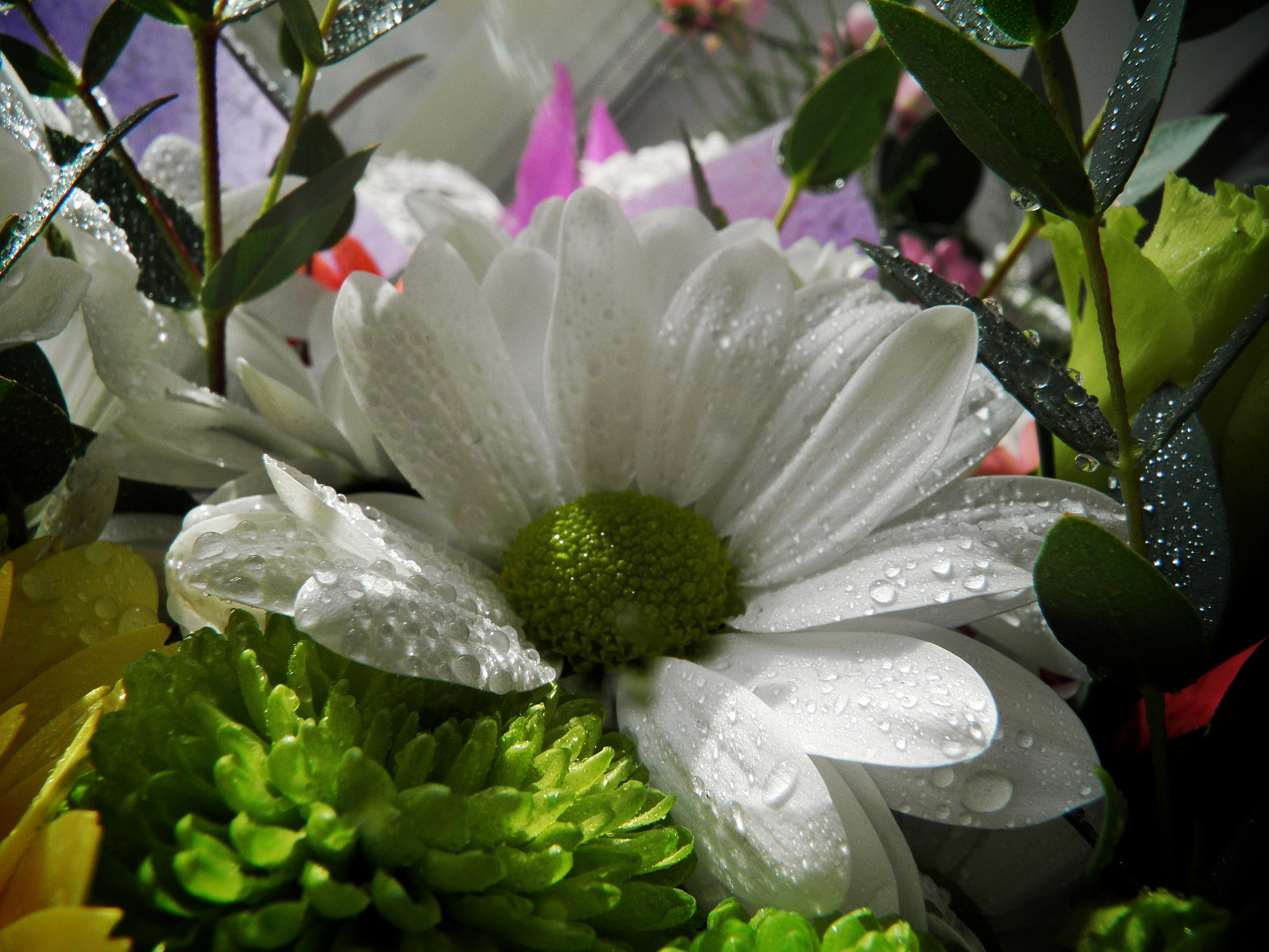 Olympus SP800UZ sample photo. Good day) photography
