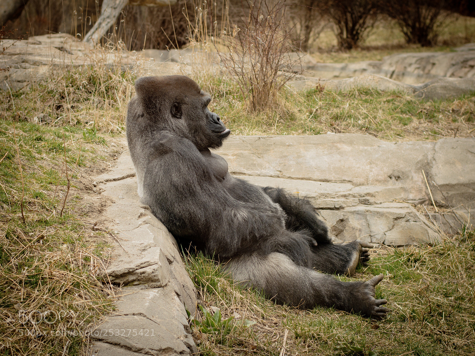 Nikon D3200 sample photo. Chillin! photography