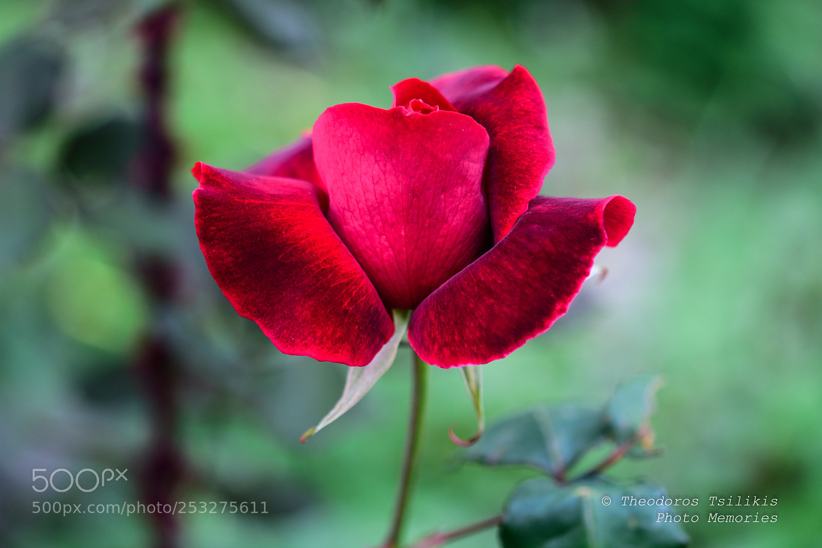 Nikon D7200 sample photo. ? photography
