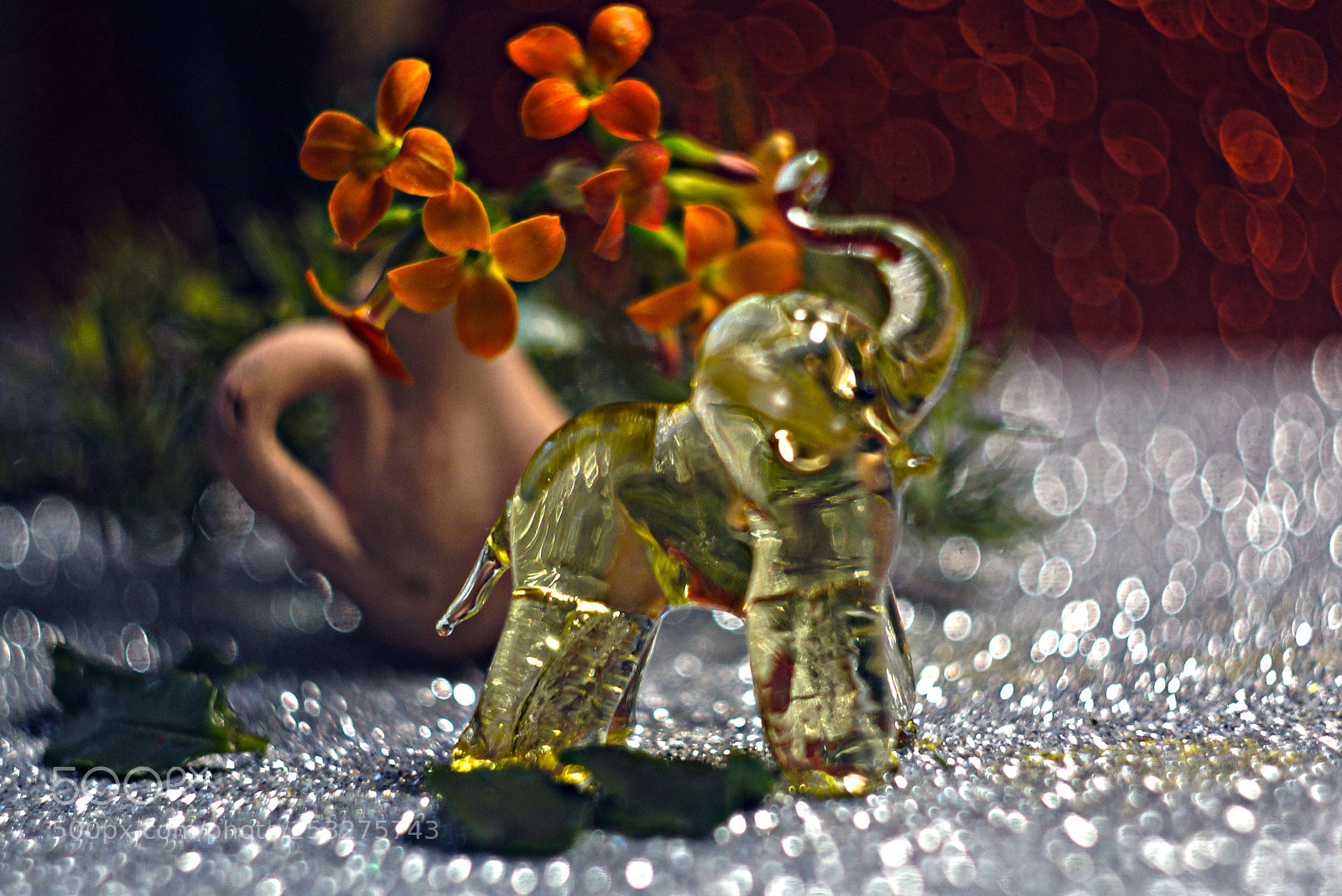 Sony SLT-A65 (SLT-A65V) sample photo. слоник photography