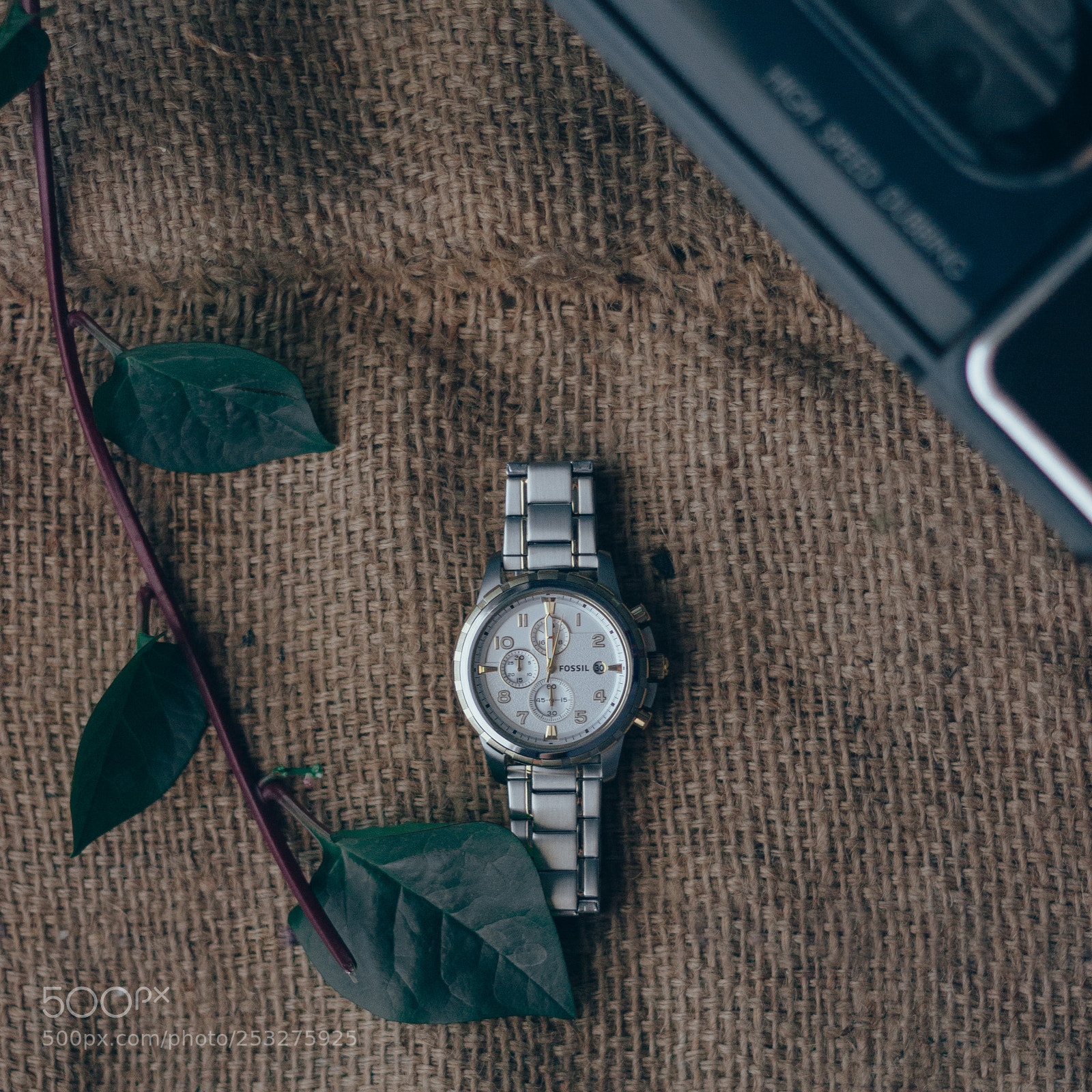 Canon EOS 600D (Rebel EOS T3i / EOS Kiss X5) sample photo. Fossil photography