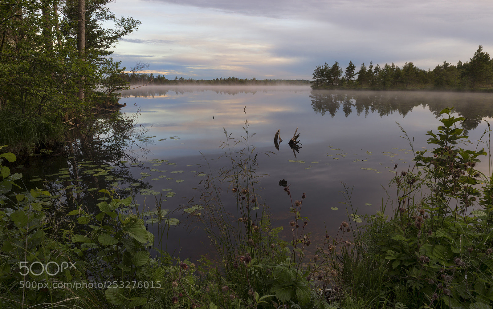 Sony SLT-A99V sample photo. Morning. photography