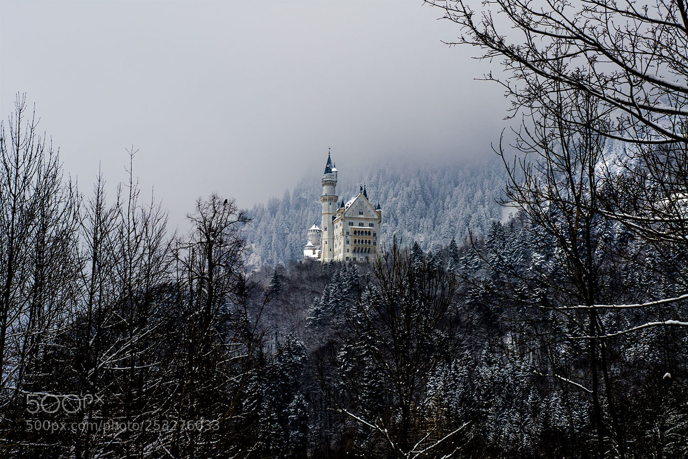 Nikon D3100 sample photo. The castle... photography