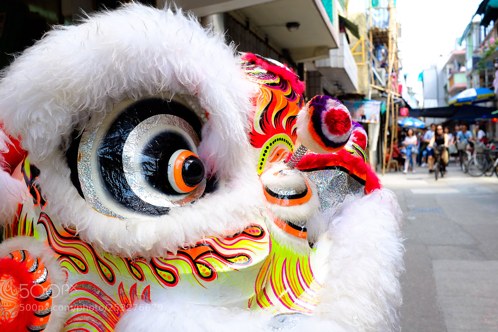 Fujifilm X100S sample photo. Lion's head photography