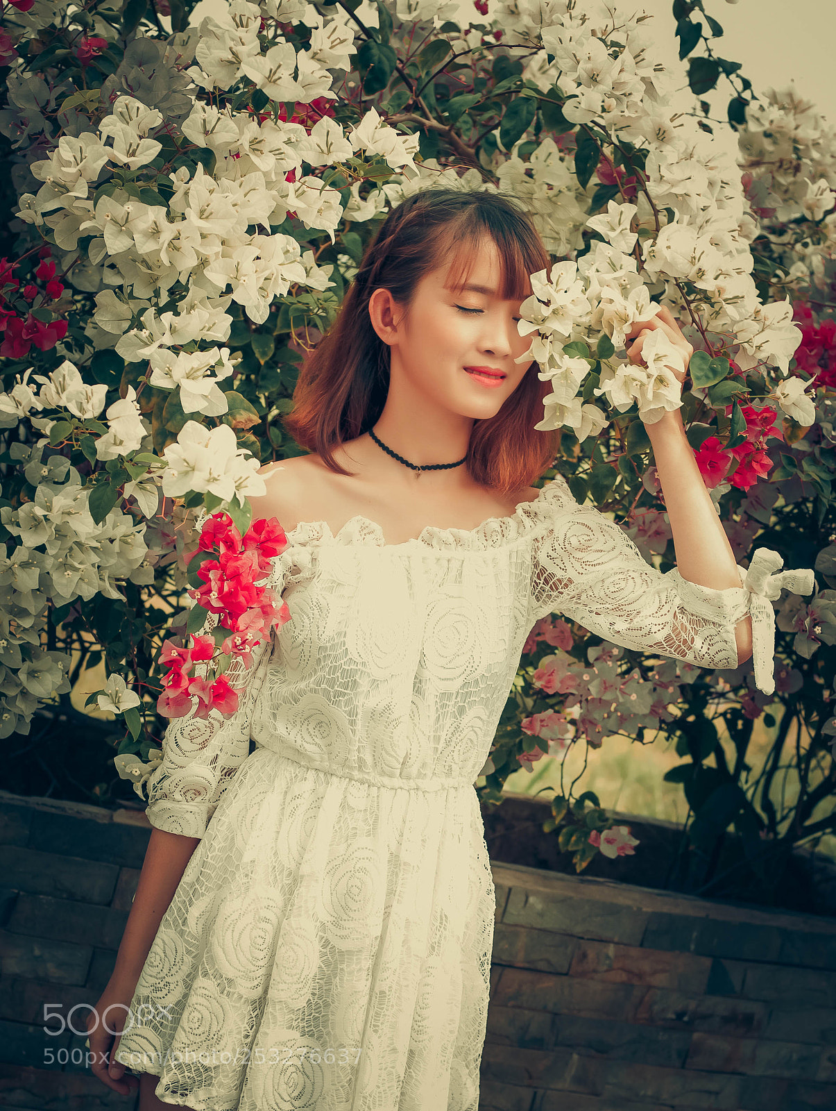 Canon EOS-1Ds Mark III sample photo. Mn photography