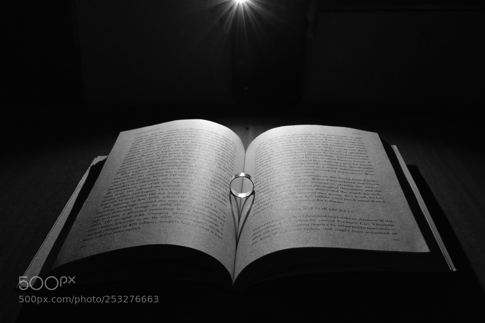 Nikon D5600 sample photo. Ray of knowledge photography