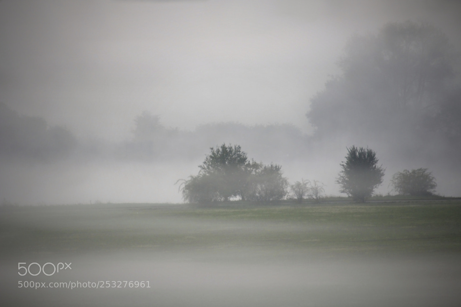 Canon EOS 60D sample photo. Morning fog at the photography