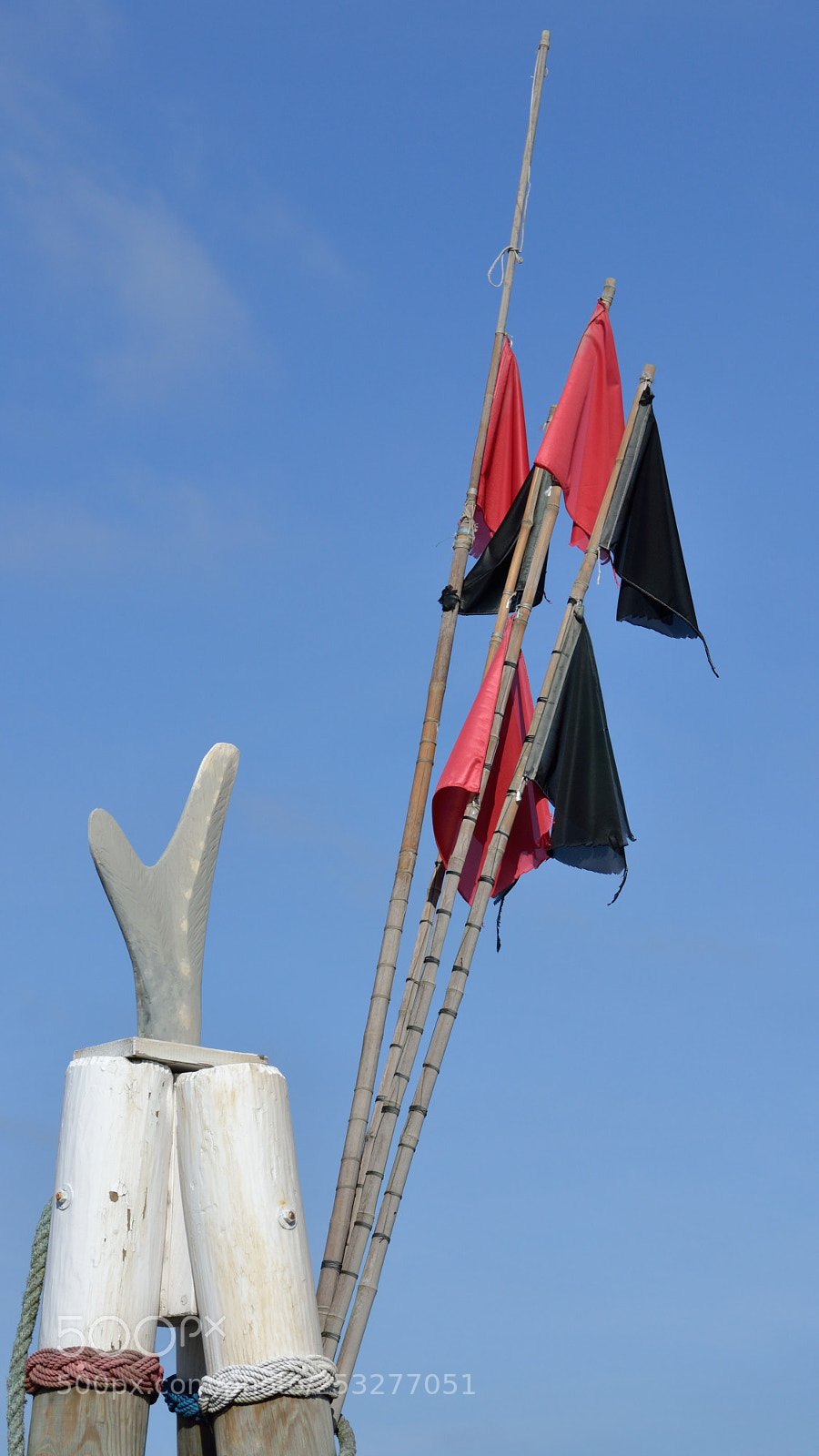 Nikon D3100 sample photo. Something with fishing photography