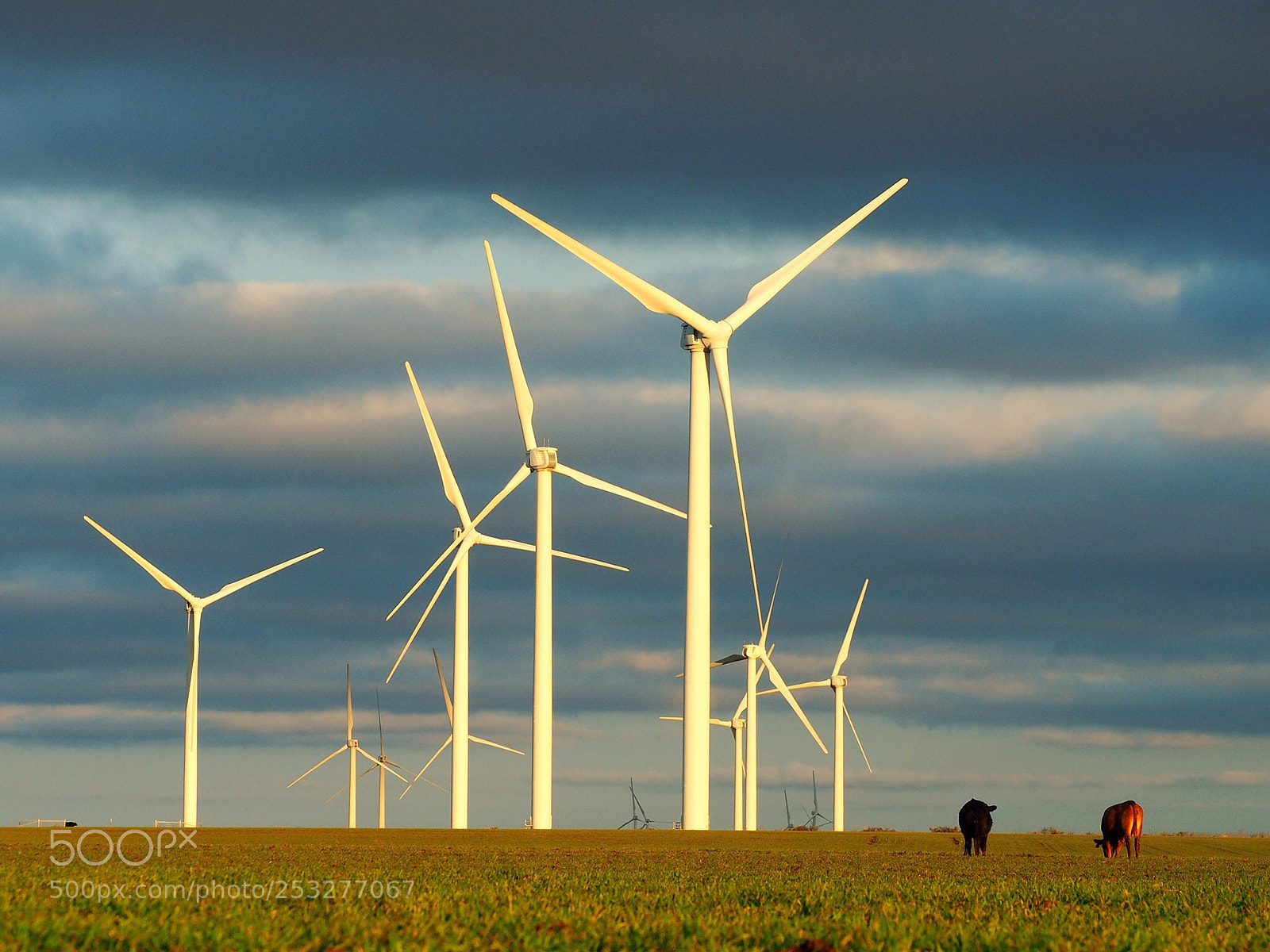 Olympus OM-D E-M10 sample photo. West texas photography