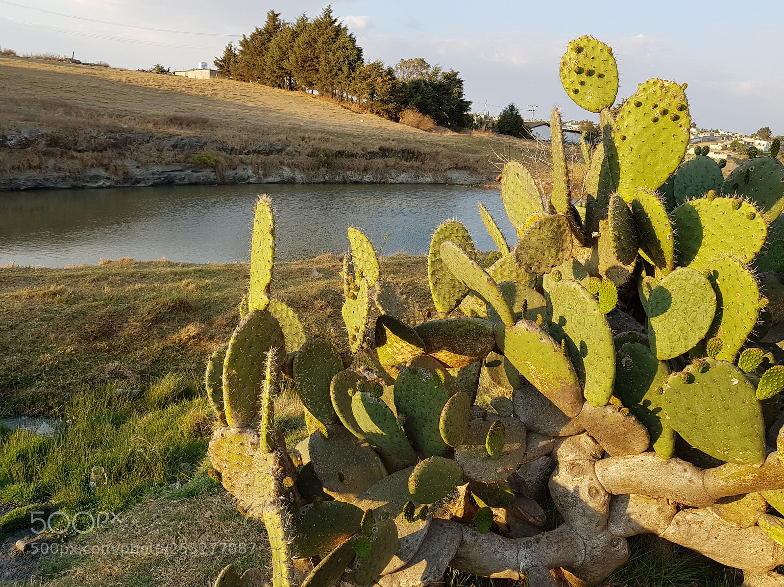 Samsung Galaxy S8+ sample photo. Paisaje mexicano photography