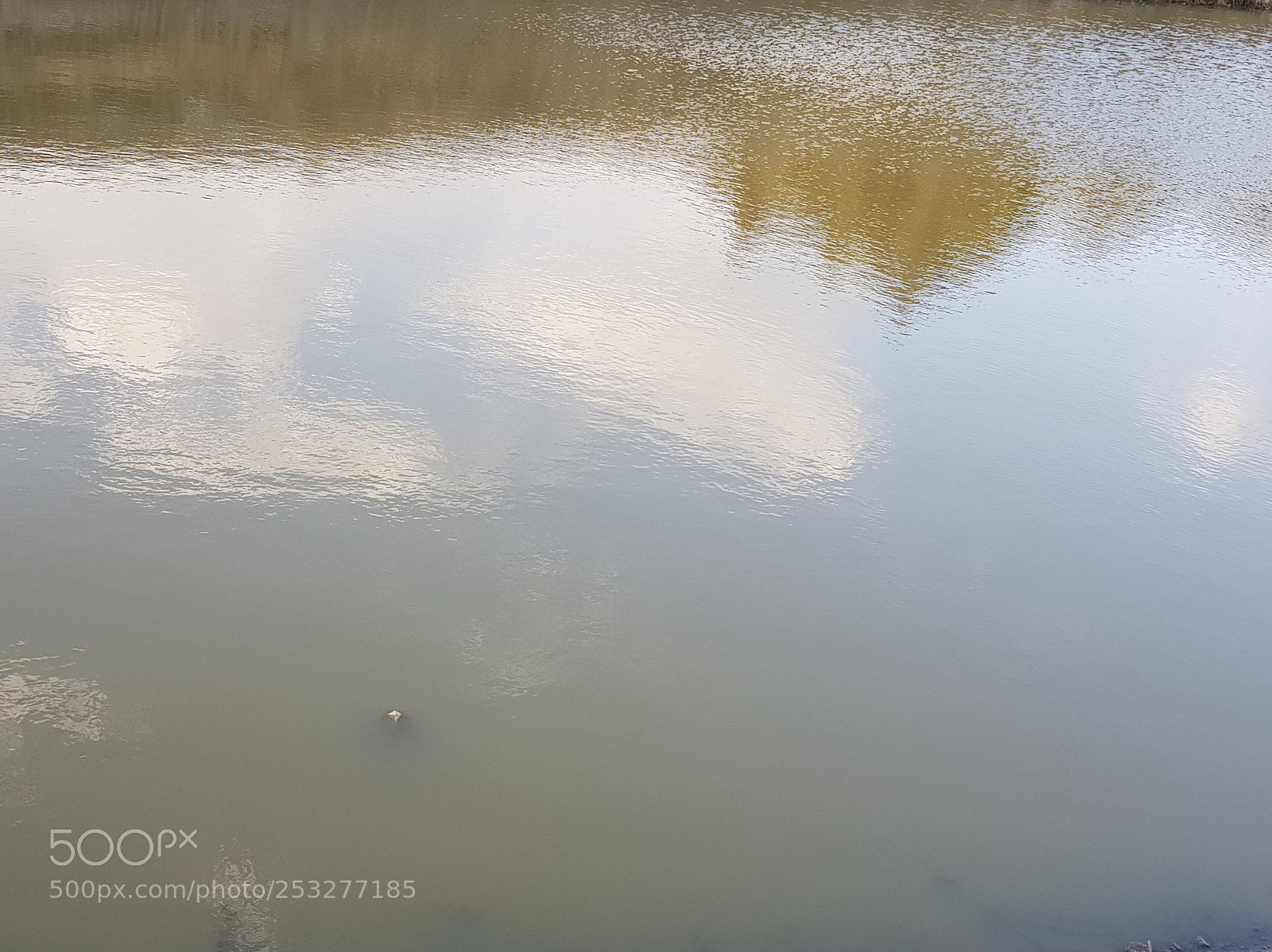 Samsung Galaxy S8+ sample photo. Reflejos de la naturaleza photography