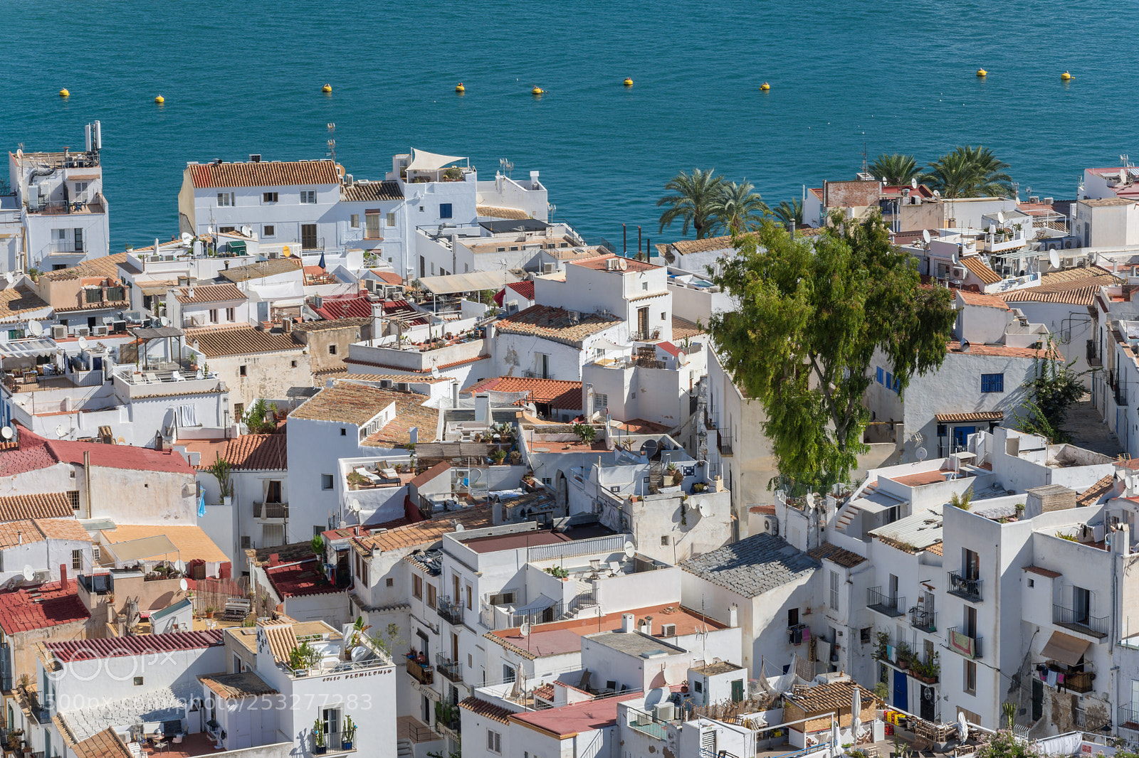 Nikon D7200 sample photo. Ibiza photography