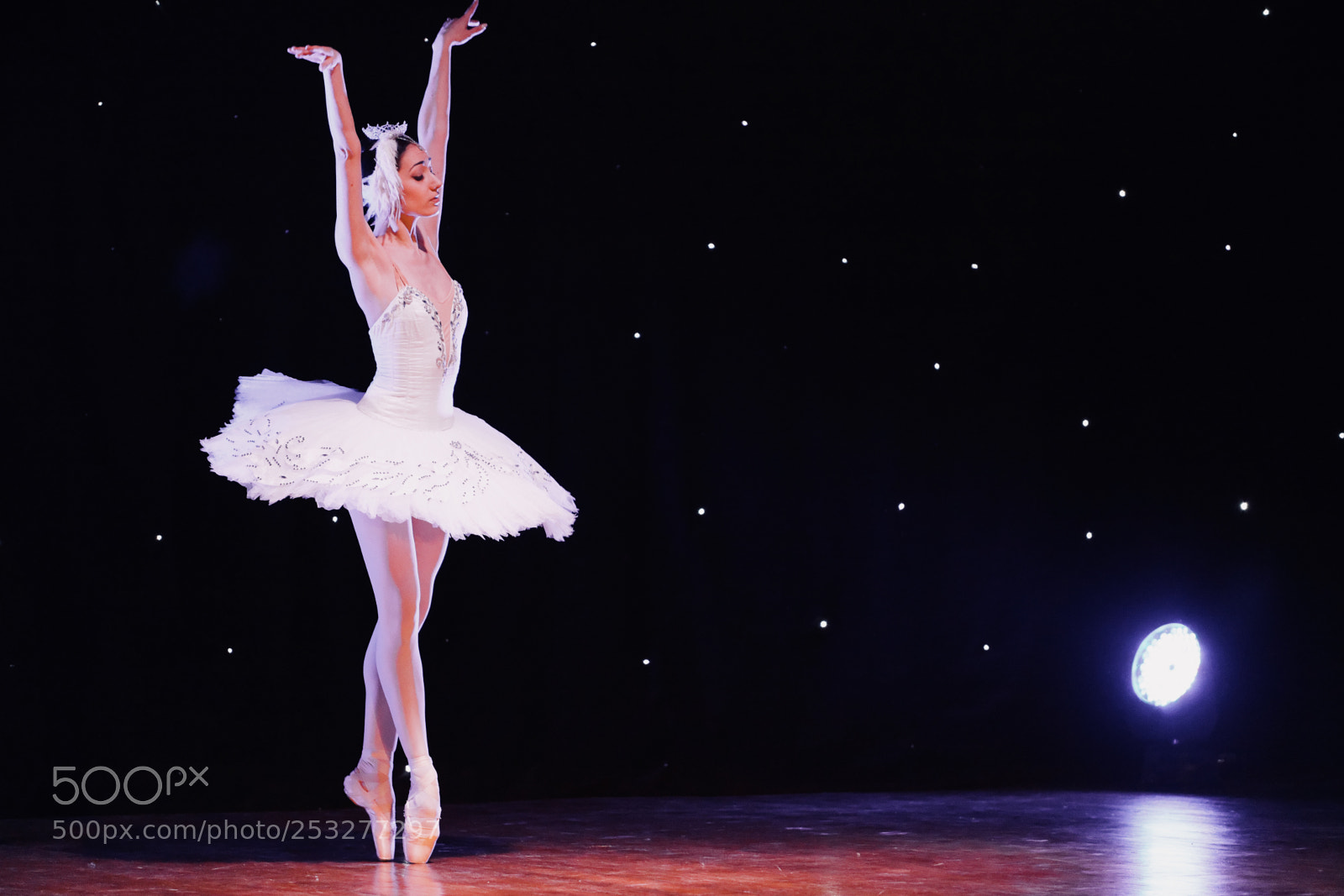 Canon EOS 5DS sample photo. Swan photography