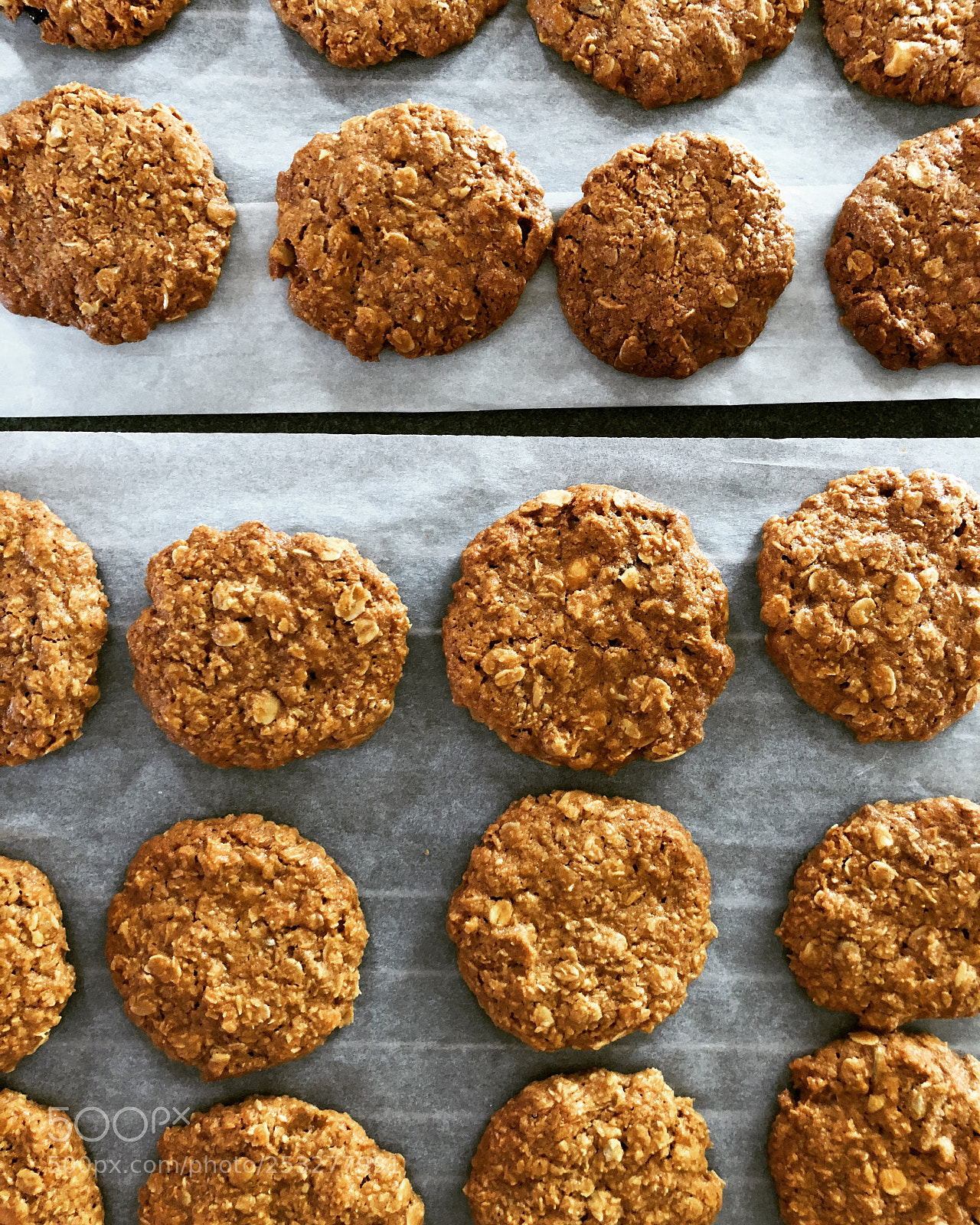 Apple iPhone 8 Plus sample photo. Anzac biscuits  photography